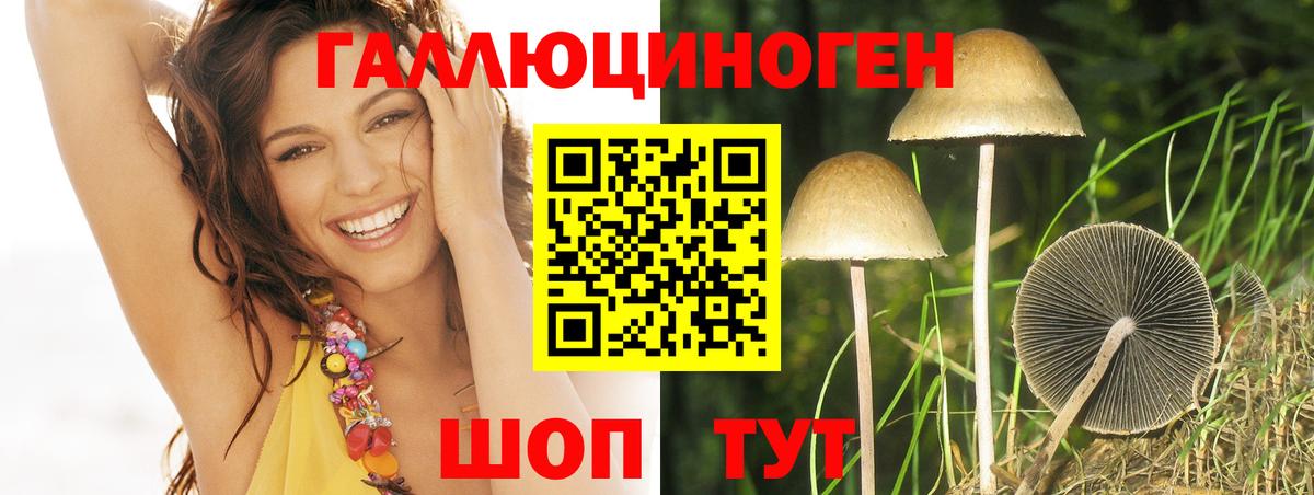 Топки  Псилоцибиновые грибы Psilocybine cubensis  Вход с VPN 